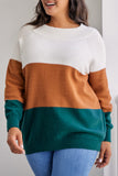 Brown Plus Size Ribbed Trim Color Block Sweater